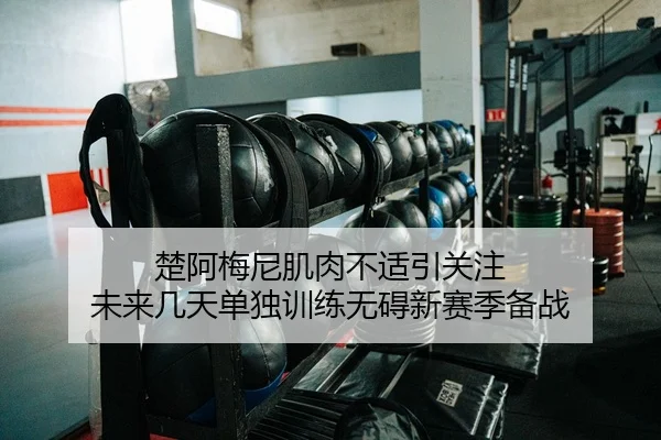 楚阿梅尼肌肉不适引关注 未来几天单独训练无碍新赛季备战